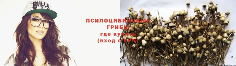 Псилоцибиновые грибы Psilocybe  маркетплейс формула  Верхний Тагил 